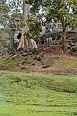 Banteay Kdei temple - the moat.